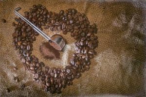 Bio Kaffee Test Vergleich